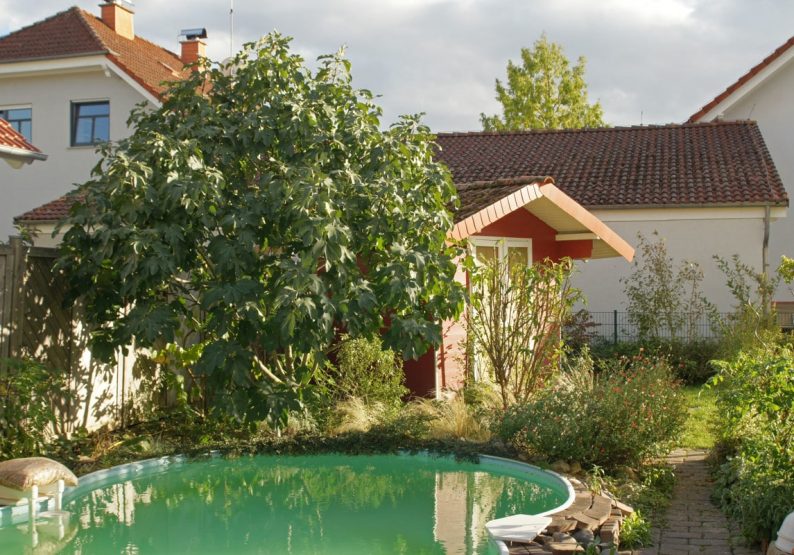 Garten mit Pool